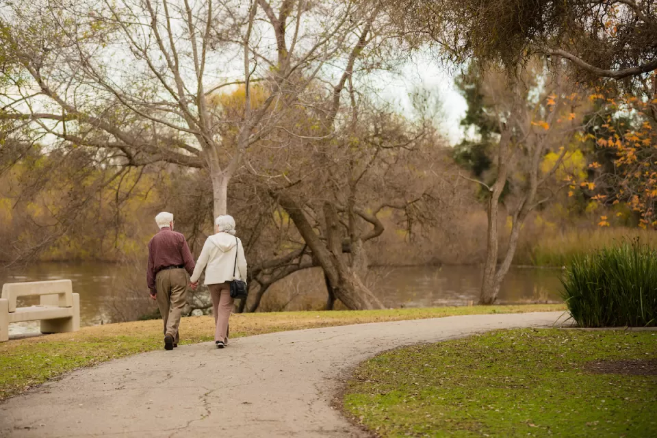 View from back of elderly man and woman holding hands and walking on a path in a park with fall colors.